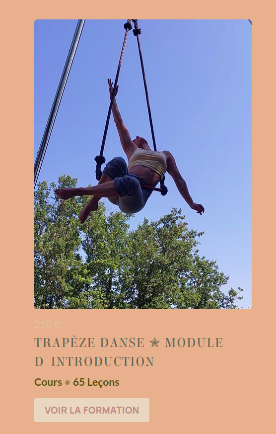 formation au trapèze danse